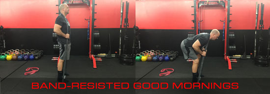 dieselsc-com-band-resisted-good-mornings
